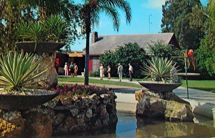 Floridaland - Vintage Postcard (newer photo)
